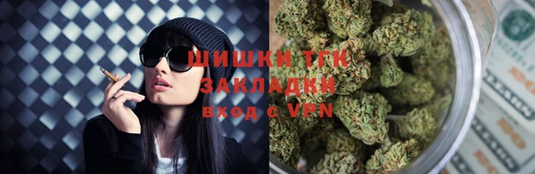 твердый Нягань