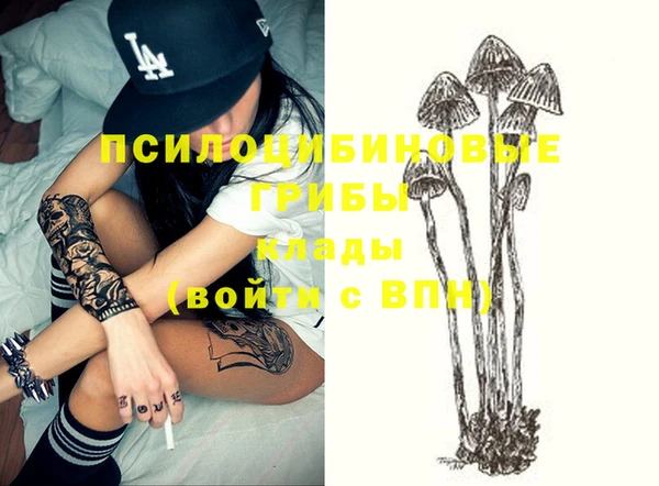 твердый Нягань