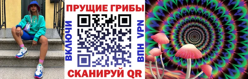 Галлюциногенные грибы прущие грибы  Мыски 