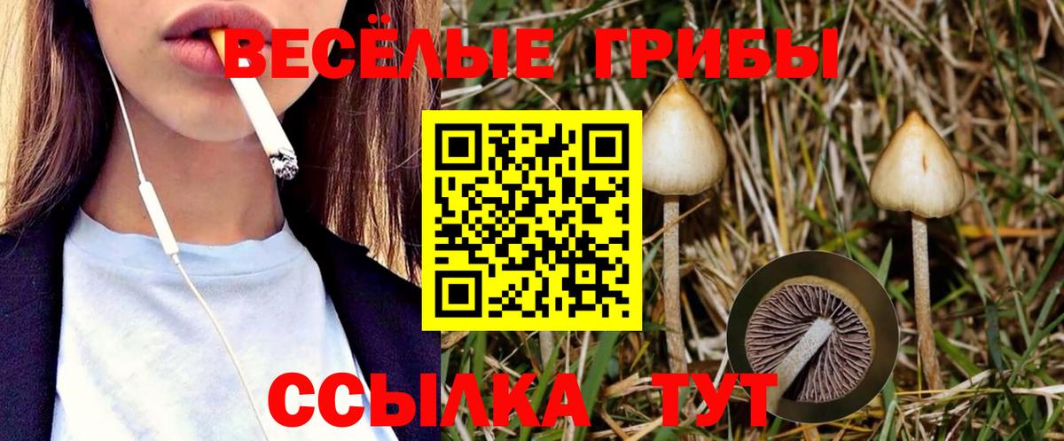 Псилоцибиновые грибы ЛСД  Вход с VPN  Псилоцибиновые грибы мицелий  Мыски 